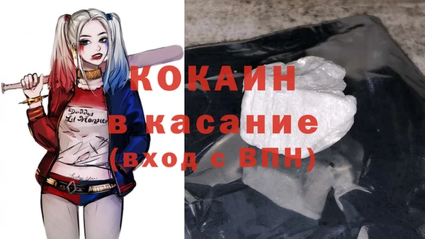эйфоретик Гусь-Хрустальный