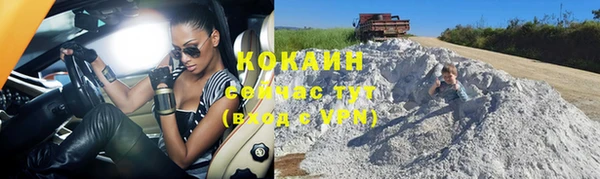эйфоретик Гусь-Хрустальный